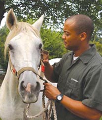 Photo of CVM doctor with patient