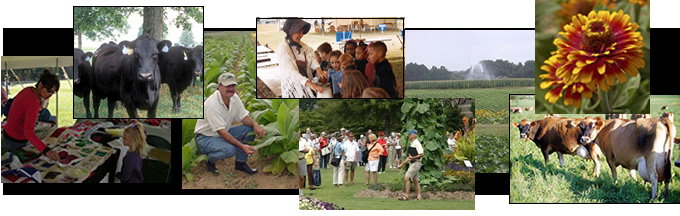 Montage of Field Day and Special Events photos