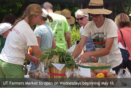 Photo of UT Farmers Market