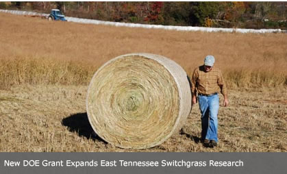 UT Switchgrass Harvest