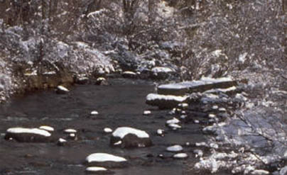 Photo of stream in winter