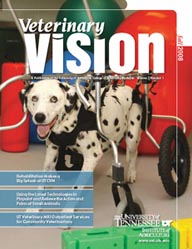 Cover of Veterinary Vision