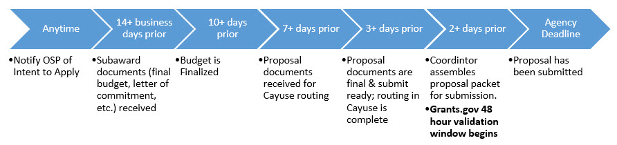 Proposal Timeline